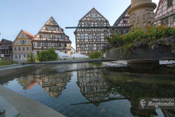 Schlosshotel Hoefingen レーオンベルク エクステリア 写真